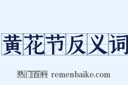 黄花节反义词是什么意思的图片